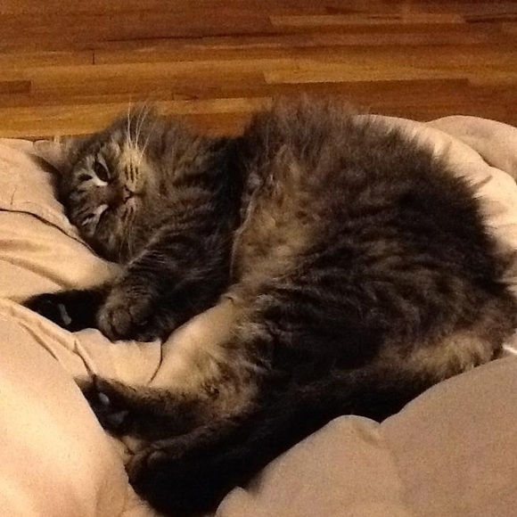 Meet your Posher, D - Picture 3 of 5